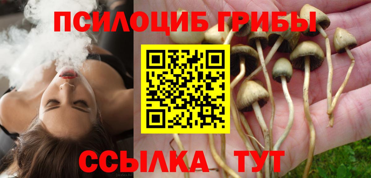 Псилоцибиновые грибы GOLDEN TEACHER  Вход с VPN  Галлюциногенные грибы Cubensis  Обнинск 